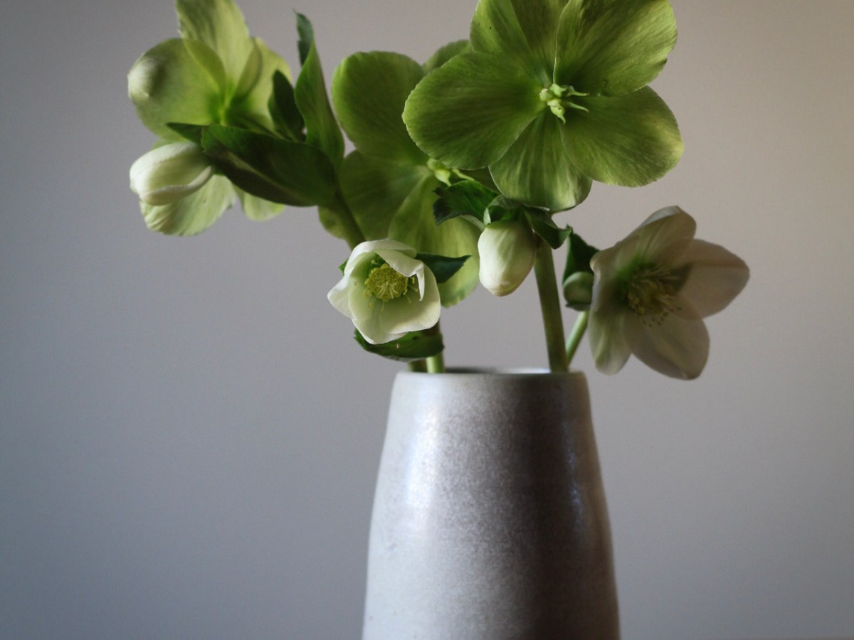 Our plans for this growing season, and some little winter&nbsp;joys.